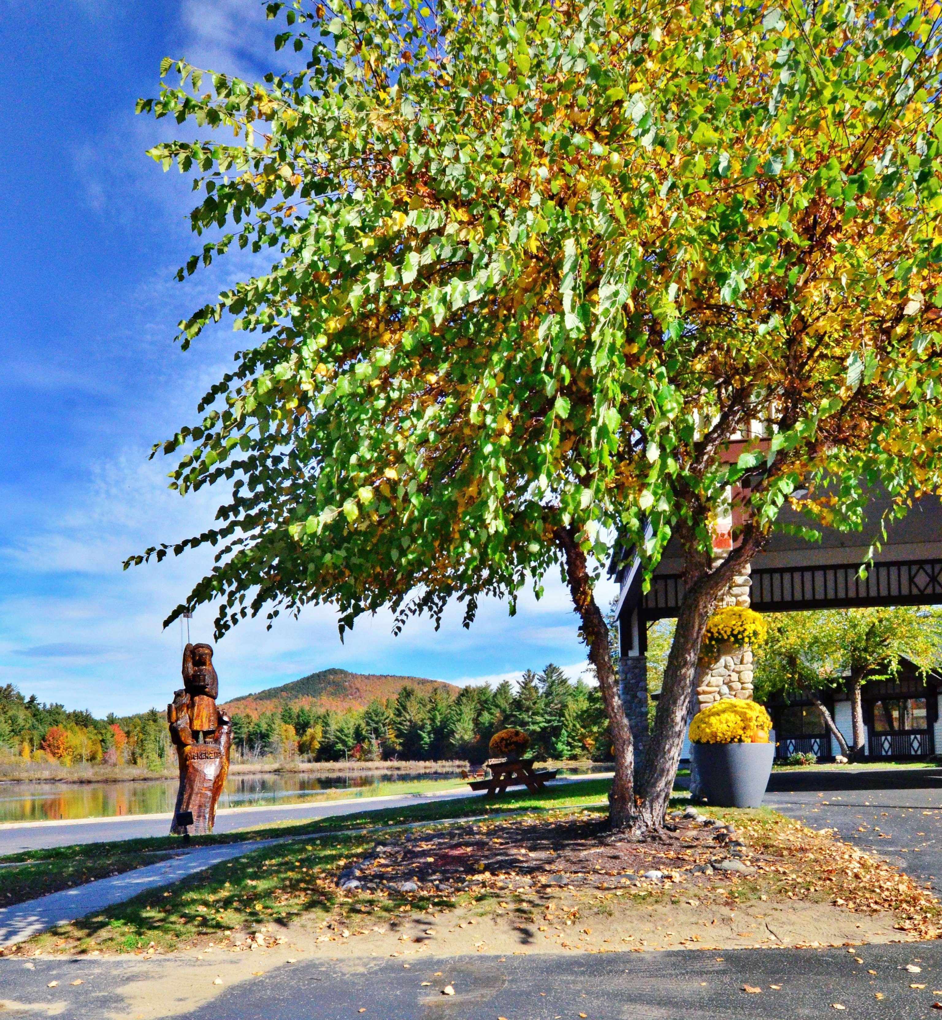 Best Western Saranac Lake Hotel Exterior foto